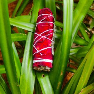 californian sage with rose petals